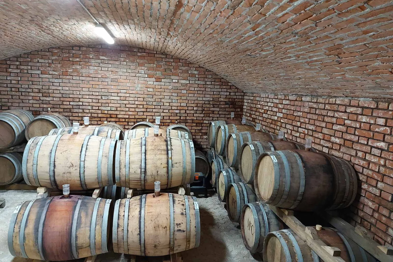 Oak barrels in the McC cellar